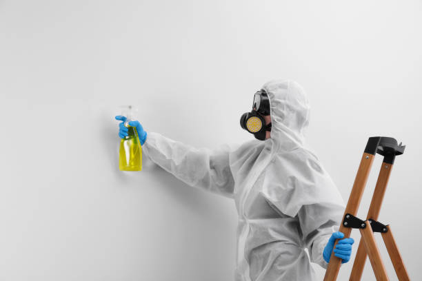 Why You Should Choose Our Mold Remediation Services in Grottoes, VA